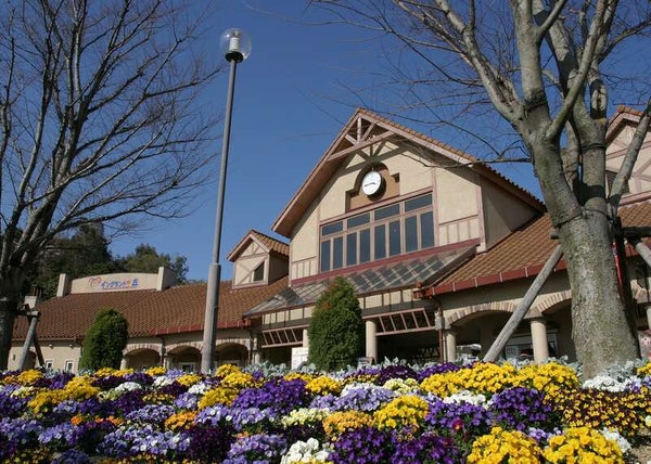 【奈良県内発】 春の大潮の日に行く!大迫力のうずしおクルーズとイングランドの丘 日帰り3